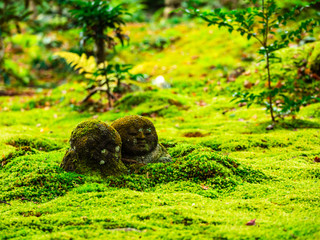 京都　三千院　わらべ地蔵