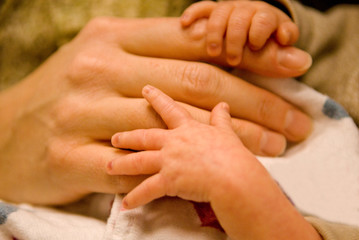 Premature baby hands on adult hands