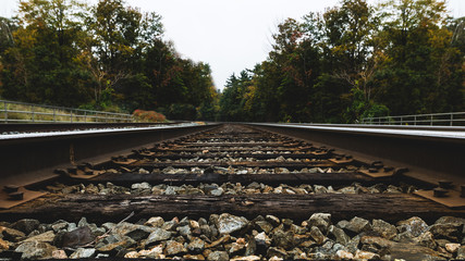 railway tracks in the forest in fall