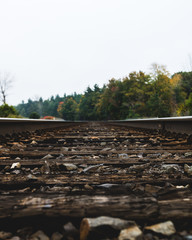 Obraz premium railway in nature