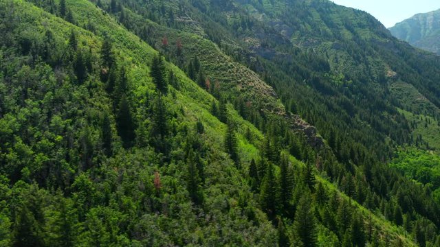 Aerial view of mountain side in Uinta National Forest in Wasatch Range