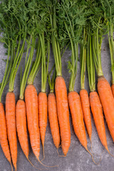 Carrots on a grey structured background