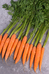 Carrots on a grey structured background