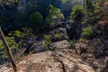 stream in the forest