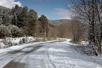 Road in the winter in the mountains