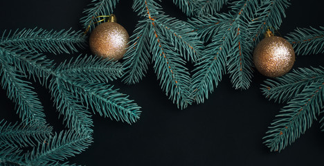Green branches ate on black background. Dark background for Christmas card or advertising....