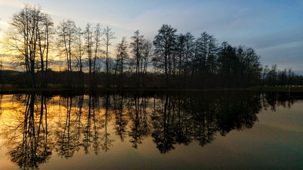 reflection of trees in water