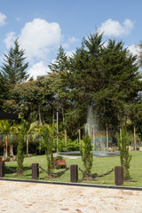 Quiet landscape, public park with water fountain in sunny day.