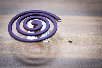 Mosquito repellent concept / Burning mosquito coil is an anti mosquito repellent and dead on the...