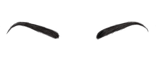 Eyebrows Hand Drawn