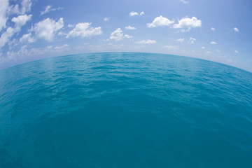Fisheye View of Ocean