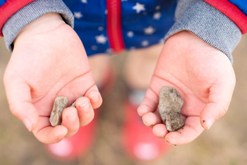Child hands holding stones. Close up.
