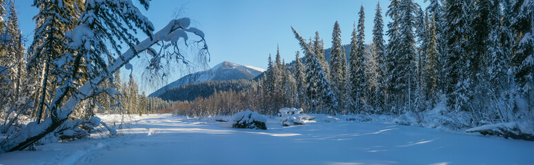 Panoramic view of a mountain valley. Winter forest, snowy trees. Wild place in Siberia.