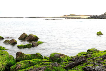 a beautiful view of the beach
