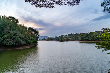 Autumn pond in the evening in Fukuoka prefecture, JAPAN.