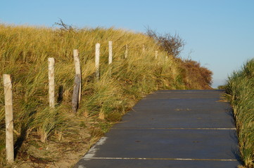 walkway in the dunes with fence