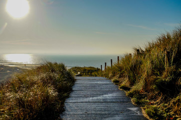 path in the dunes in the morning