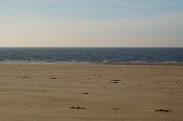 waves on the beach coastline