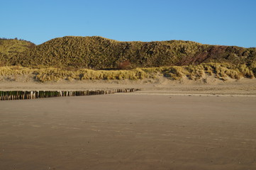 sanddunes and beach
