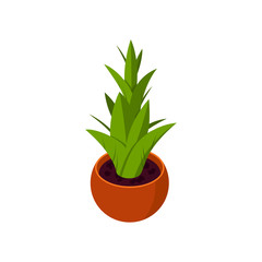 Isometric plant, vector icon in flat style
