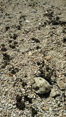 stones in the sand