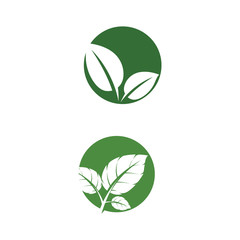 Leaf Mint Logo Template vector symbol