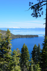 View of forest and Lake Tahoe