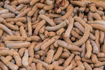 Fresh pile of ripe sweet tamarind fruits