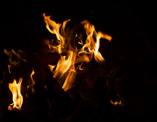 Fototapeta premium Fire flame caused by burning of wood on a black background