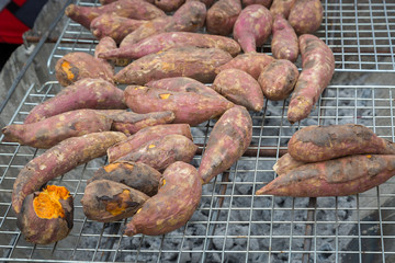 Potato grilled ready to serve
