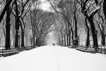 Fairy winter park in a fabulous city..Central Park - New York City during a snowstorm