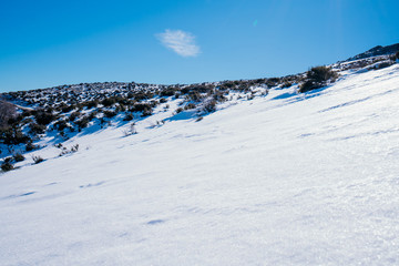 Neve sul Bruncuspina, montagna sarda.