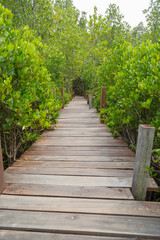 Obraz premium Wooden walkway bridge to nature for relaxing in tropical forest in Thailand