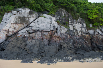 Rock tropical background