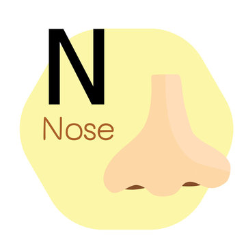 N for Nose alphabet, Cute Simple flat cartoon style vector Stock 