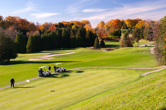 Landscape Fall Foliage At Golf Course