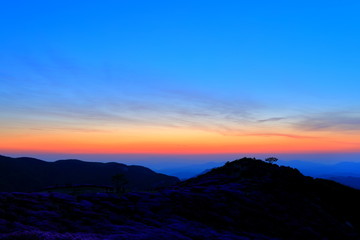아름다운 일출이 보이는 풍경