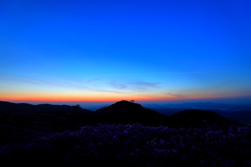 아름다운 일출이 보이는 풍경