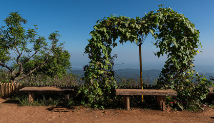 Nine benches with heart shaped green leaves and the sky as the background