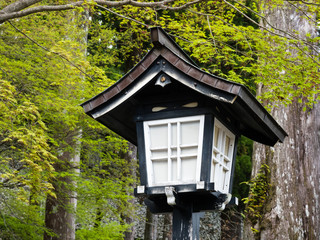 Fototapeta na wymiar Japanese lantern against bright green tree leaves in springtime