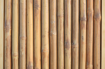 Vertical bamboo fence wall background.