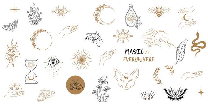 Vector witch magic design elements set. Hand drawn, doodle, sketch magician collection. Witchcraft symbols. Perfect for tattoo, textile, cards, mystery