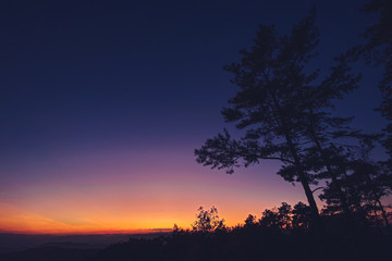 sunset and twilight light in the forest on the mountain