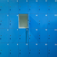 Blue locker