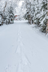 Winter driveway portrait snow shoe tracks