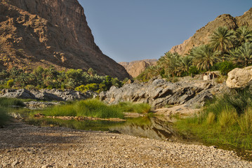 Scenic wadi landscape in Oman