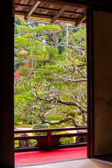 Beautiful autumn garden scenery seen from the back of a Japanese-style guest room.                        Manjyuin  temple  Kyoto 