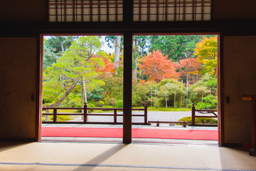Beautiful autumn garden scenery seen from the back of a Japanese-style guest room.                        Manjyuin  temple  Kyoto 