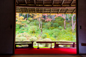 Beautiful autumn garden scenery seen from the back of a Japanese-style guest room.                        Manjyuin  temple  Kyoto 