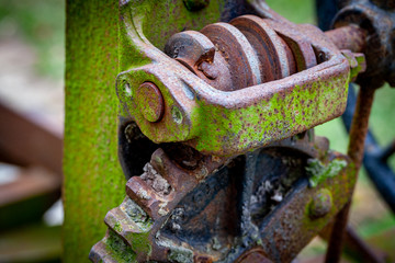 Worm Gear